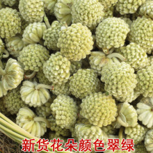 【买1送1】西藏野生绿萝花500g绿萝花茶品正绿箩绿罗花茶叶花草茶