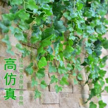 仿真常春藤假花藤条装饰绿植缠绕绿叶树叶管道塑料花藤蔓植物吊顶