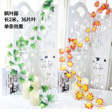 �t���~���پG���ٗl��픾G�~������ֲ�������҃��ړ��b�