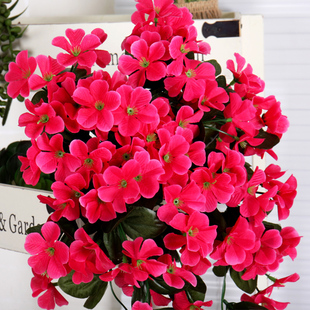 ���_�m�ڒ����ٻ��bٻ��ٗl���ٵ��m�T�^��c������@��ˇ