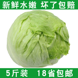 2.5kg Packs of Shandong Farm Lettuce Fresh Salad Vegetable Burger Lettuce Balls Round Lettuce Vegetables