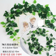 常青藤条吊篮藤蔓壁挂假绿萝葡萄叶子装饰花藤绿植物管道吊顶
