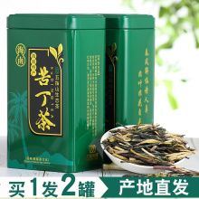买1发2 海南白骨苦丁茶大叶五指山特产新茶原产老茶树包邮