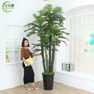 �٘����ֲ�����Կ�����;Gֲ���ϻ��[���҃��b��Pβ������辰