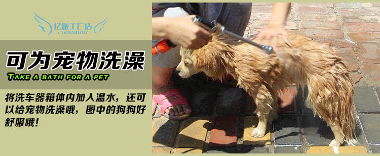 Car Washer Lithium Battery High Pressure Water Gun Portable Cordless