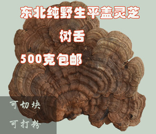 �L��ɽҰ���`֥ƽ�w�`֥����500����Ȼ��֥��֦�󂀉K��Ƭ��