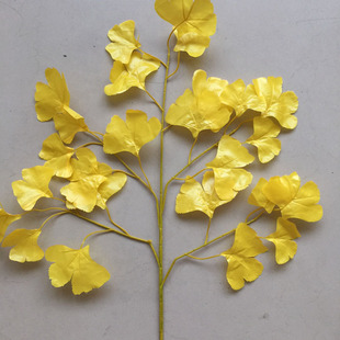 ���~�y���~�٘��~�Sɫ�������~��֦�ۘǲ��@�ֹ����b٘��~