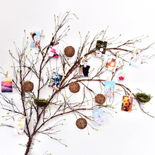 仿真树枝藤蔓藤条背景墙客厅森系布置挂墙面墙壁装饰造景绿植植物