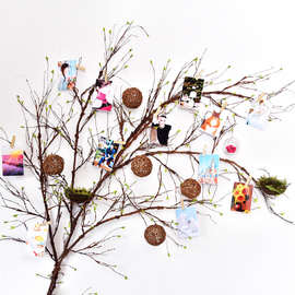 仿真树枝藤蔓藤条背景墙客厅森系布置挂墙面墙壁装饰造景绿植植物