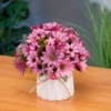 Rose Red Dutch chrysanthemum butterfly ceramics