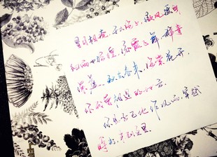 6BVQsheen��ī  ���īˮ 䓹Pīˮ �� ��ϵ�в�ī 5ml���b �ϼ�