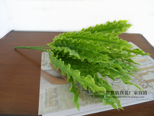 �¿�Gֲ�~�����ϰ���ܛ�z������ˮ��С�B���~ֲ��b����b