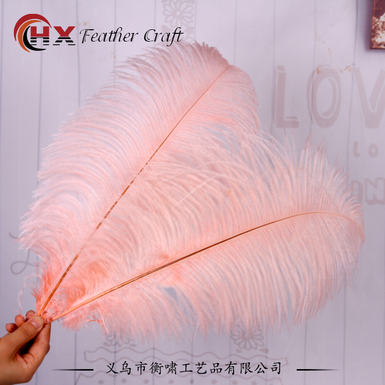 Plumas de avestruz DIY red ins rosa de avestruz accesorios de fotografía de camello adornos de plumas de boda decoración