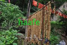 ?5�l���l ���ӻ��K ����K �����K Ѭ����Ѭ�nω ���K Ѭ�ò��K