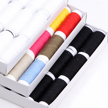 #C25Zᘾ��� �ֿp�ֹ���]�� ƴ���p�x�� �p�x�C�� 12ɫ�� ���l