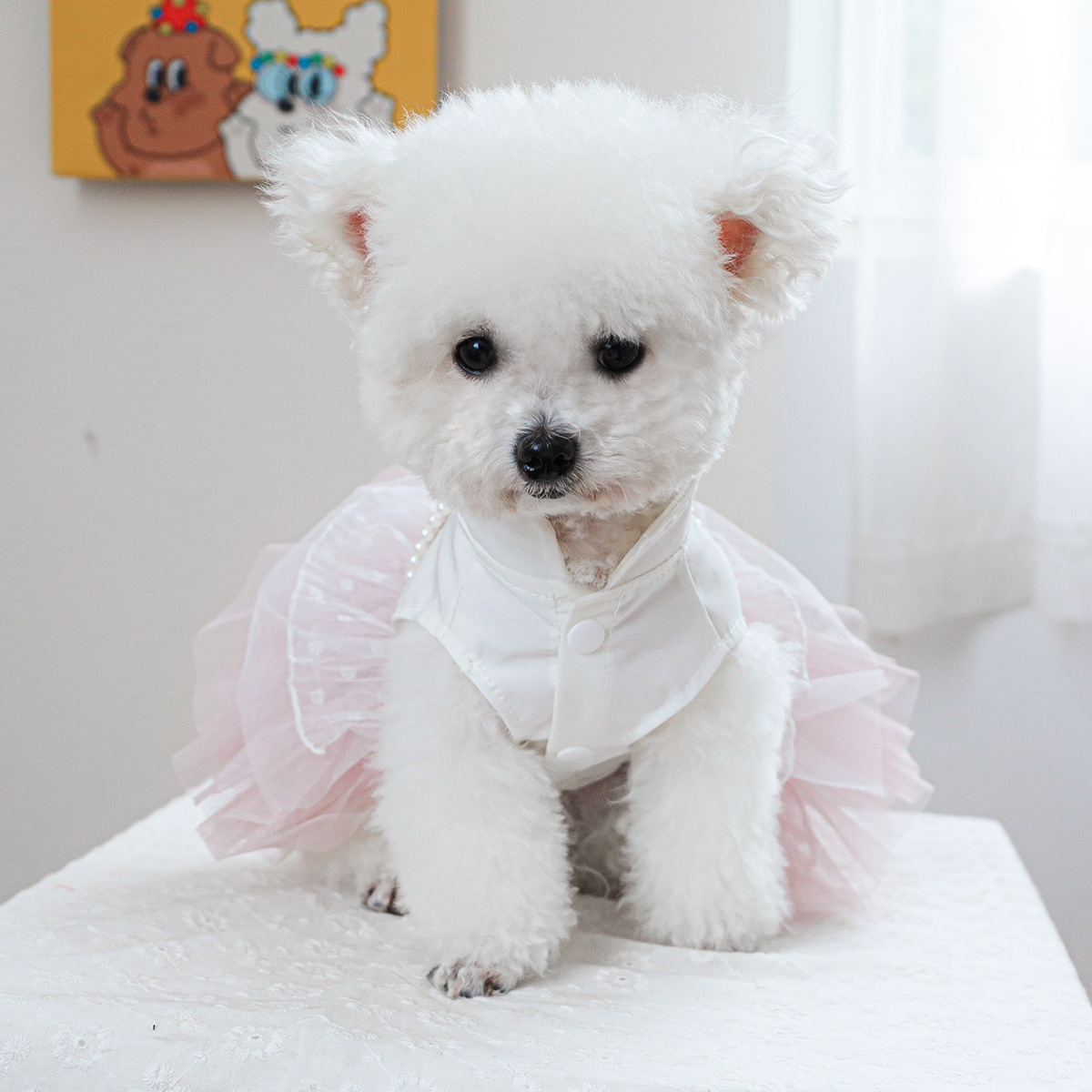 Factory direct supply/in stock new pet clothes dog cat clothing princess yarn skirt flower buckle skirt - 2