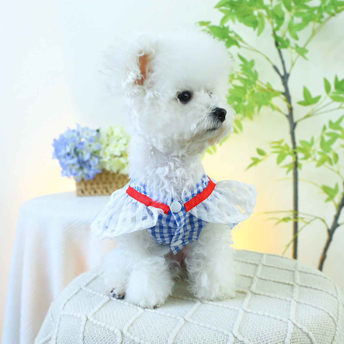 Pet Circle Dog Clothes Wholesale Spring and Summer New Small and Medium Dog Princess Casual Puppy Clothes Apple Collar Skirt - 2