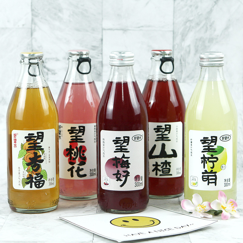 Good Hope Water Hope Hawthorn Bubble Water Hope Mei Good Hawthorn Juice Fruit Juice Healthy Solution Vitamin C Whole Case - 1