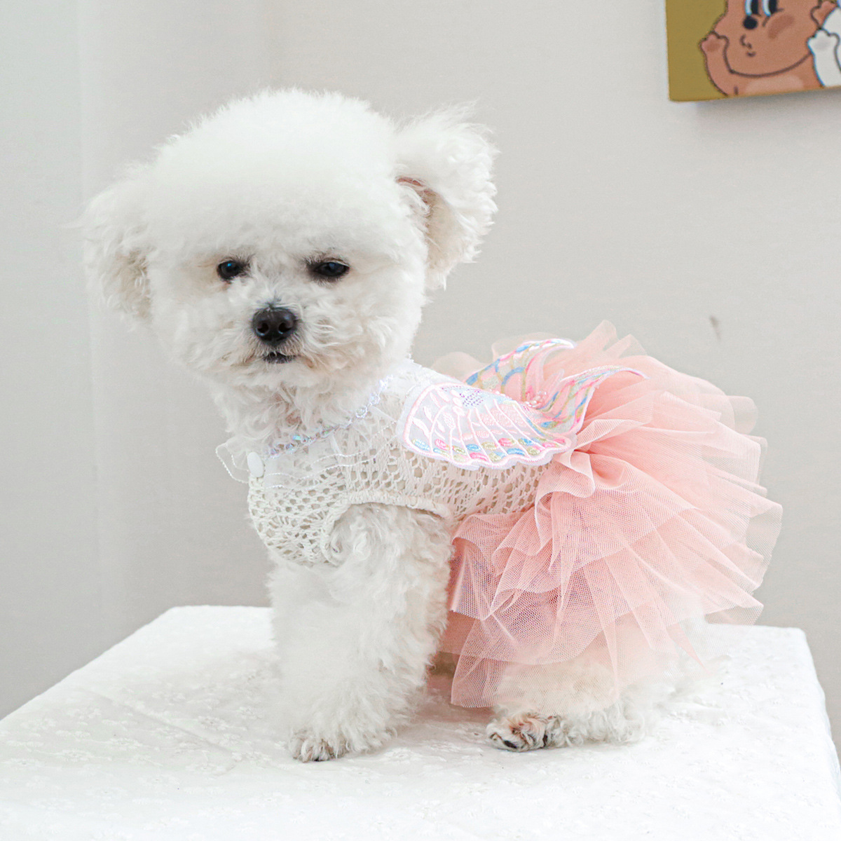 Factory direct supply/in stock new pet clothes dog cat clothing clothing cute butterfly fairy gauze skirt - 2