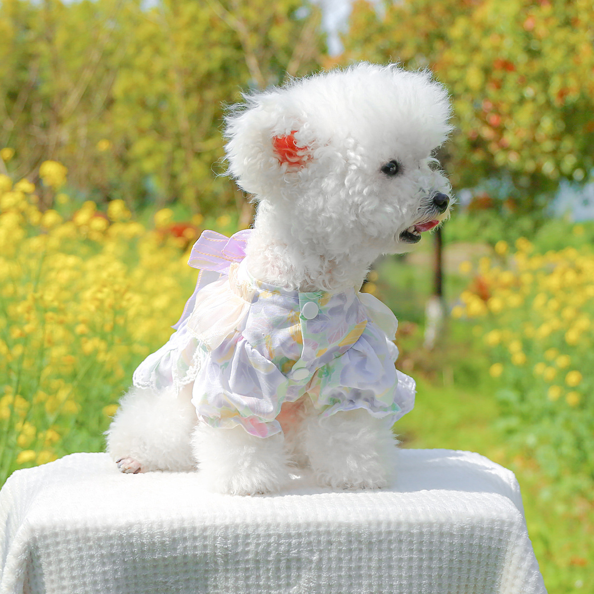 Pet Clothes Dog Cat Clothing Clothing Wholesale Spring and Summer Princess Dress Cute Lace Bow Midsummer Flower Dress - 3