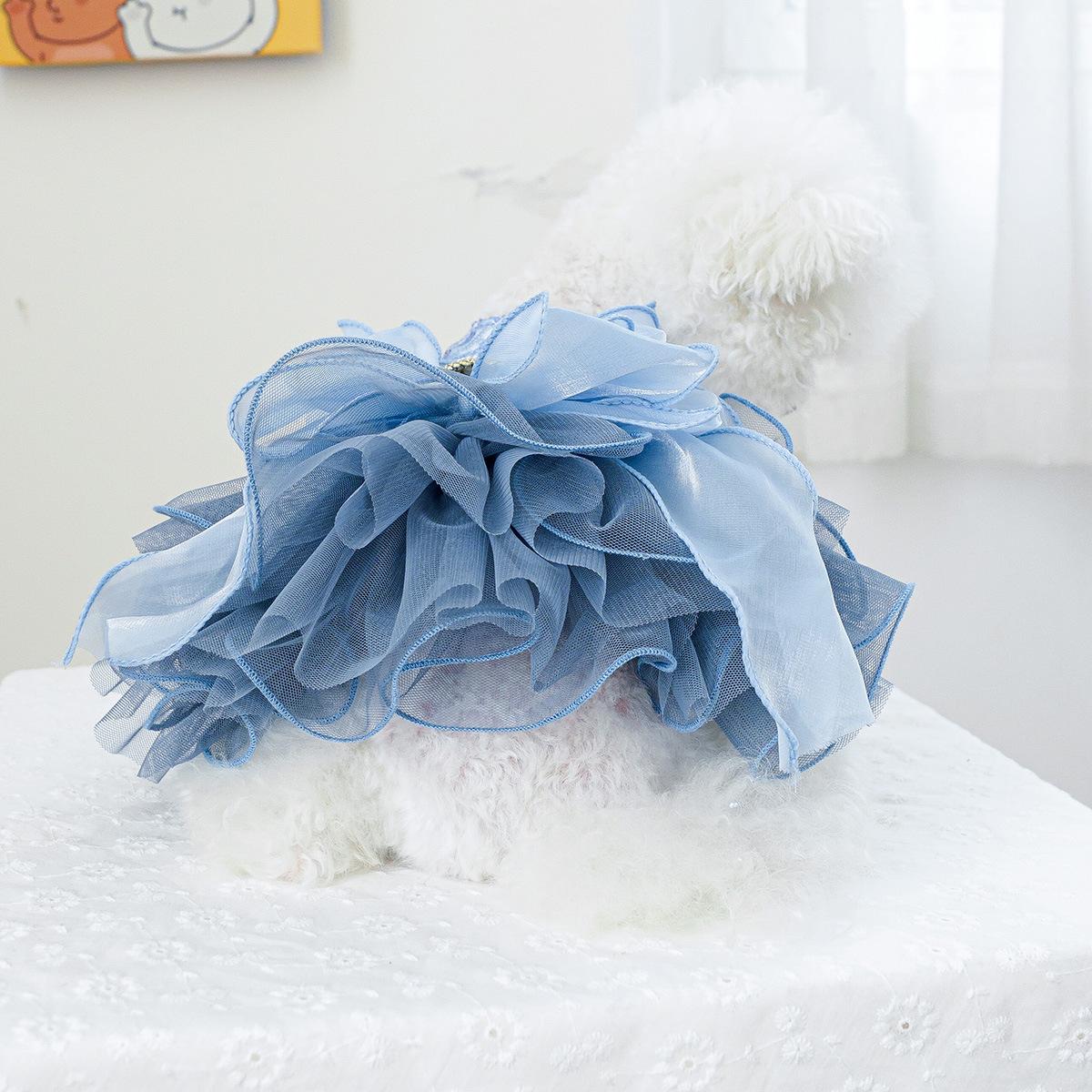 Factory direct supply/in stock new pet clothes dog cat clothing clothing puffy yarn blue Xinghe wedding dress - 2