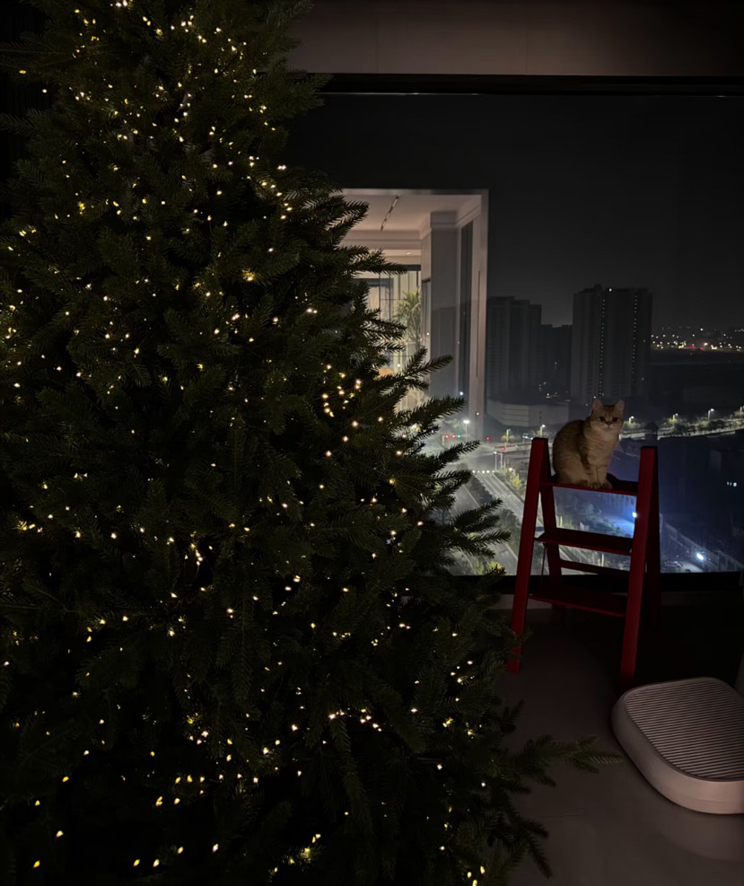 微信图片_20241031224706