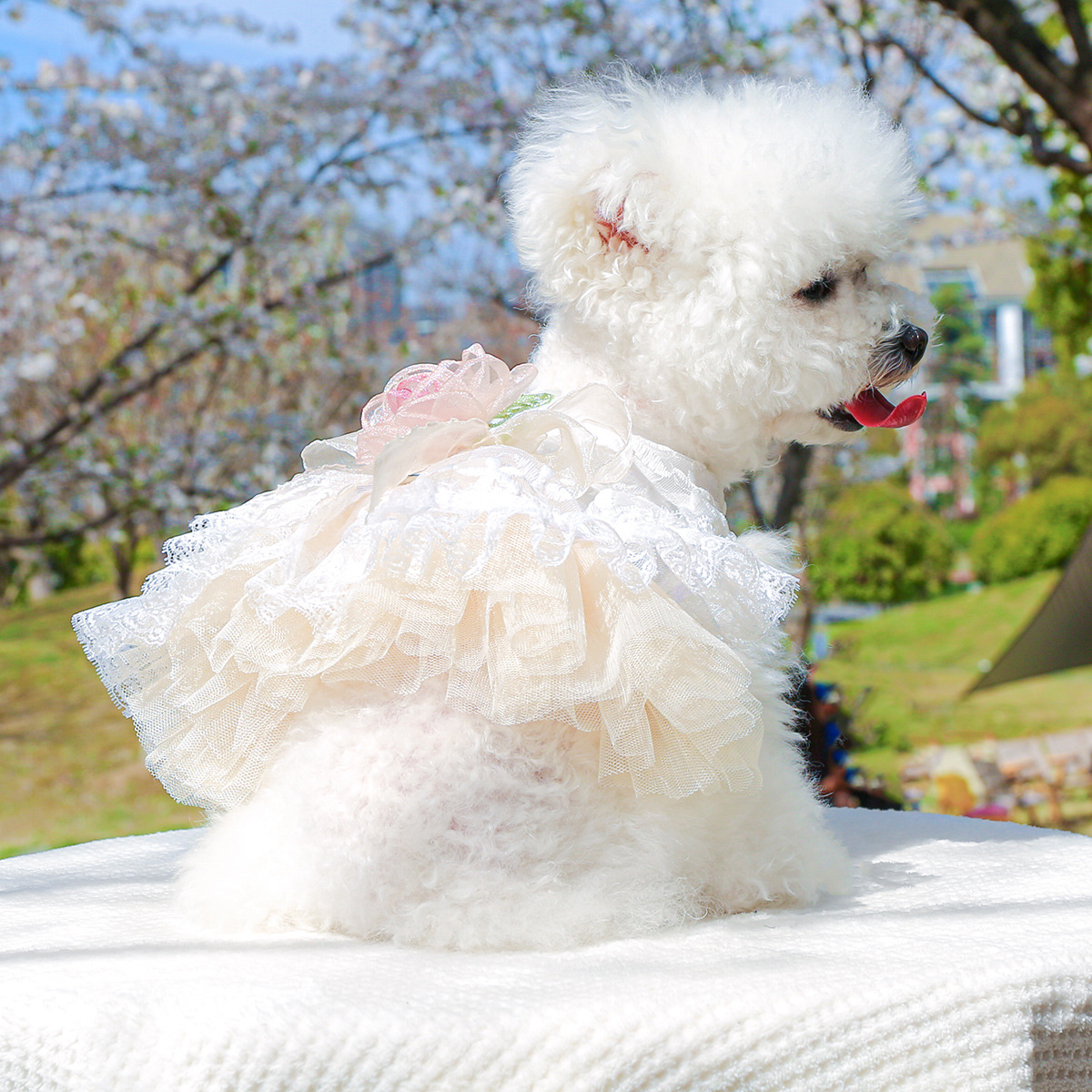 Pet ring dog clothes wholesale spring and summer new small and medium dog cute puffy gauze skirt vintage flower wedding dress - 1