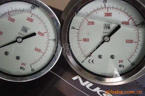 100表径63表径压力表NUOVAFIMA 注塑机专用压力表 DS100A/D/E