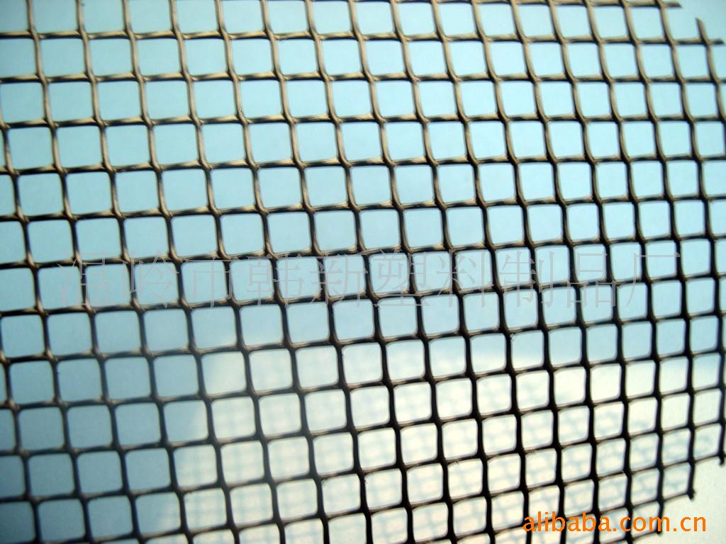 韩新塑料网厂家直销 养殖网 垫底网 养鸡网 可定制