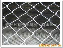 专业生产菱形孔勾花网 安平勾花网 包塑勾花网