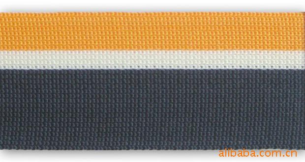 福建织带厂家直销渔丝带 特种针织带 经编网带可来图来样定做！