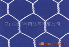 供应上海苏州昆山筛网/滤网/六角网