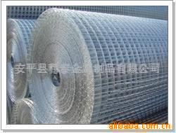 供应安平金属丝电焊网家禽圈养网 养殖用金属网