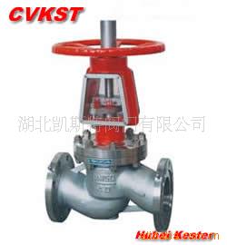 YJ41H 氧气专用截止阀 湖北凯斯特阀门