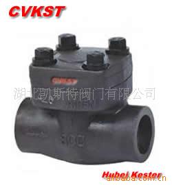 锻钢止回阀H11H优良低价供应湖北凯斯特阀门