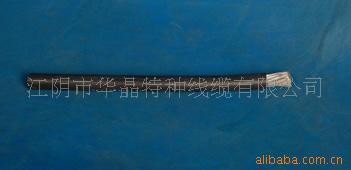 SAE J1128低压初级电缆