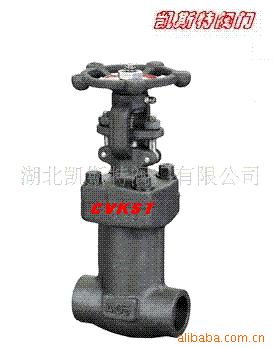 供应锻钢波纹管阀门