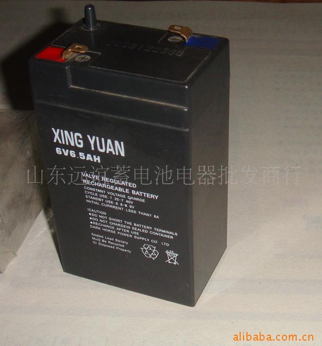 矿灯探照灯6v5ah电池3-FM-6.5AH蓄电池6V6.5ah电子秤消防照明