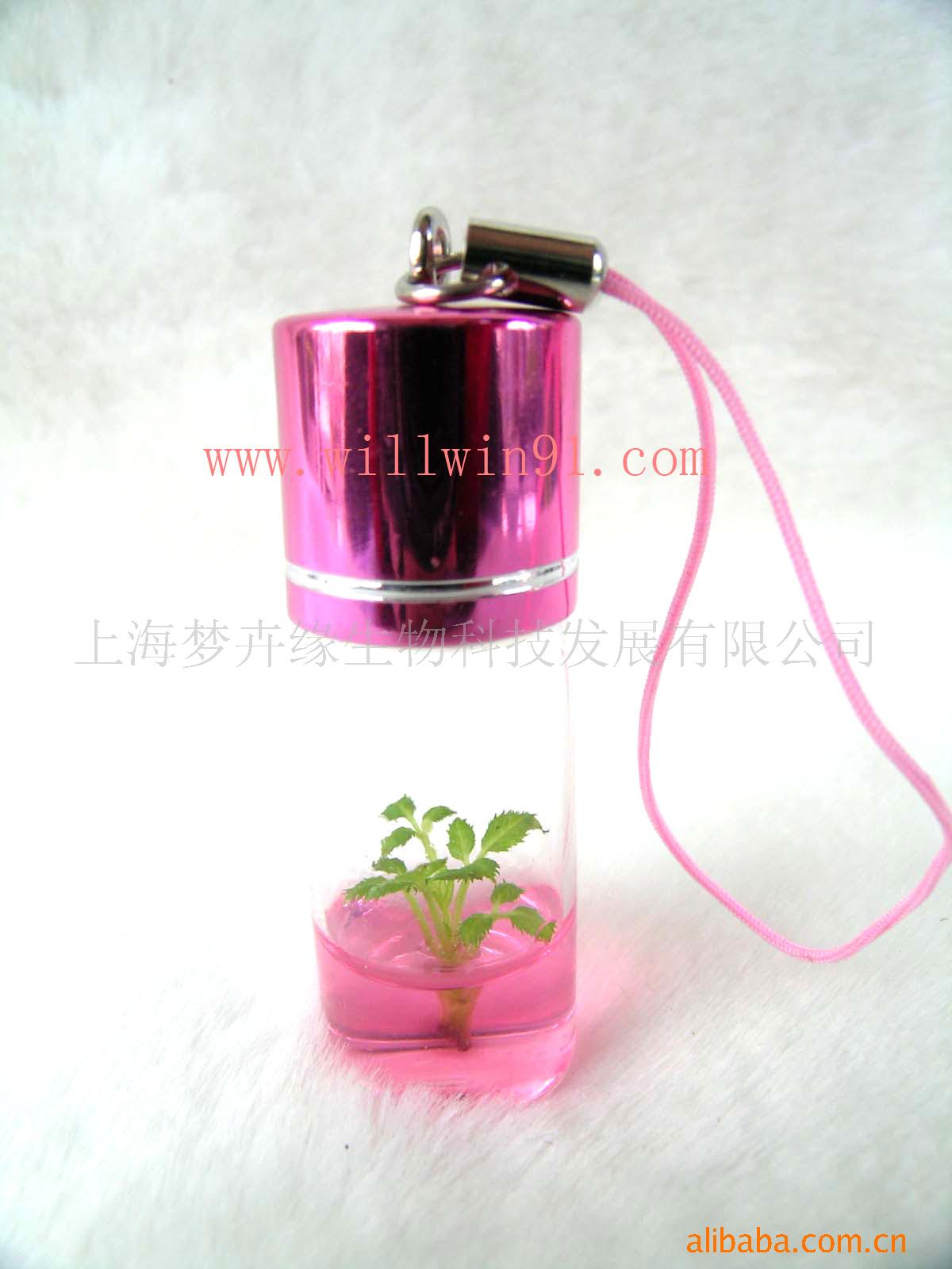 Take it with you Farm Micro Landscape Mini Botany miniature flowers and plants , pet plant , mini plant