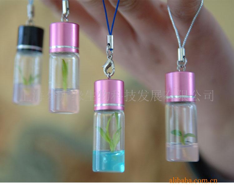 micro tree , mini plant , with plant Plants pendant Portable Farms