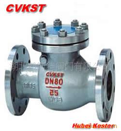 铸钢旋启式止回阀