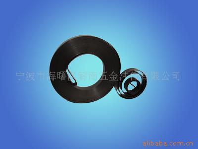 供应涡卷弹簧 涡卷卷线弹簧 宁波解南工厂批量定制 品质保障