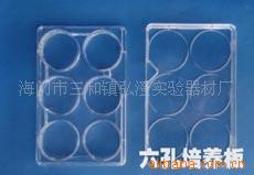 6孔培养板 培养皿 PS 细菌平板 实验 检验耗材