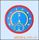 指针式温湿度计 型号:ZHWS2000