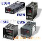 Temperature Controller E5EN |