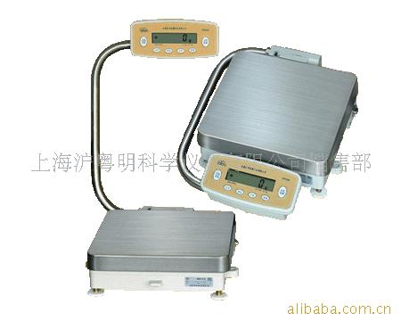 供应YP60K-2  电子天平