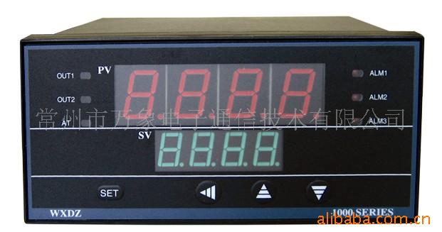 WXDZ-1000型智能温控仪  WXDZ B-218113