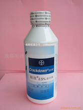 �ݶ����� �������ɱ��� 1L/ƿ ������