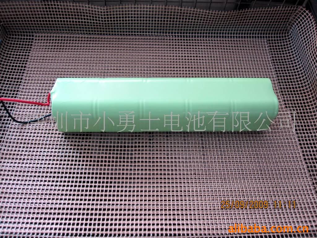 厂家供应镍氢D10AH充电电池组(图)