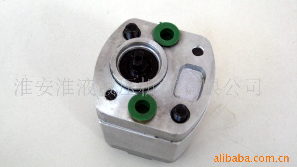 CBK-H202/204/206双向齿轮泵